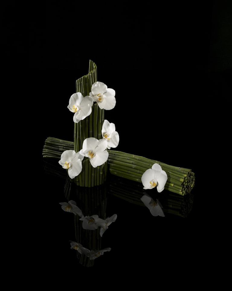 Video showing several vases with flower arrangements and close-up shots of flowers 